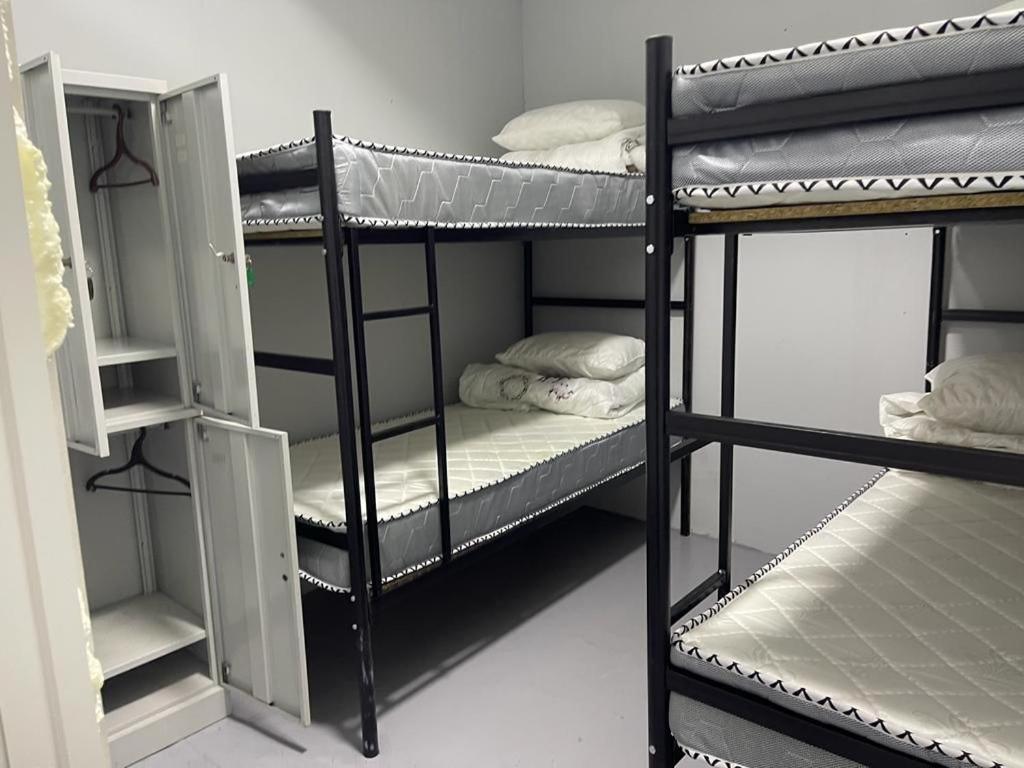 الماتي Fox Hostel المظهر الخارجي الصورة